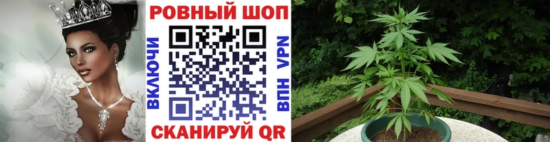 Где купить Зеленоградск МДМА A-PVP Мефедрон Марихуана COCAIN ГАШИШ