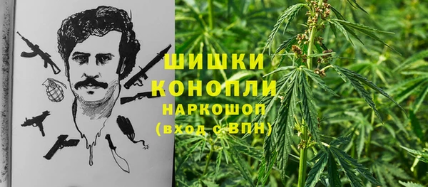 трава Вязьма