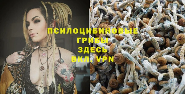 трава Вязьма